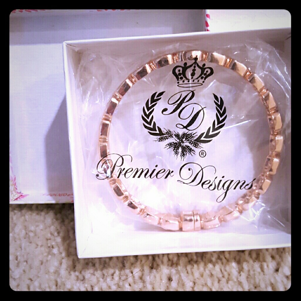 New! Premiere designs bracelet with box and bag